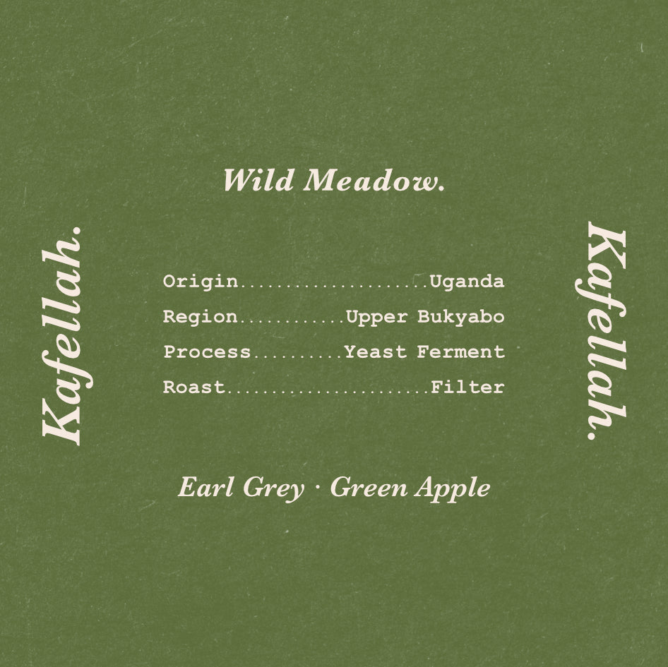 Wild Meadow